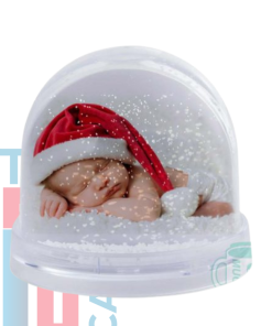 Snow Globe